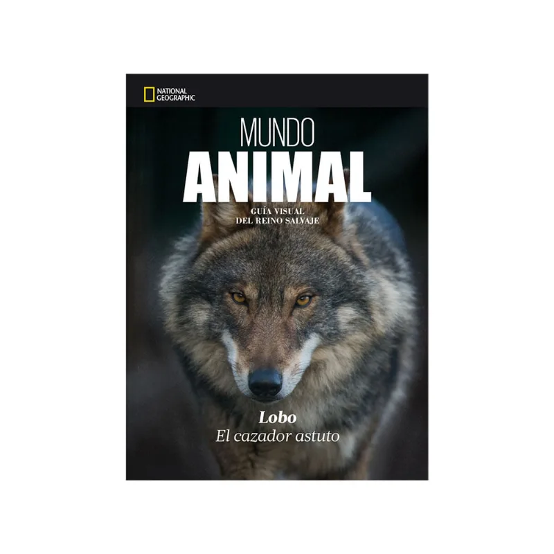 Libro Lobo Mundo Arte Grafica
