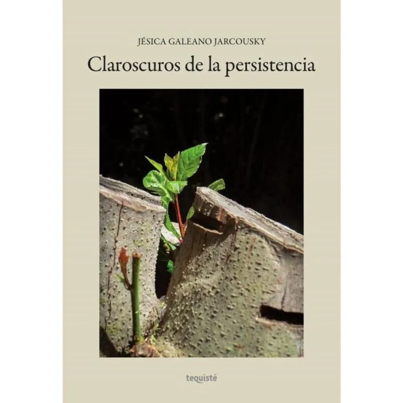 Claroscuros de la persistencia - Espanhol