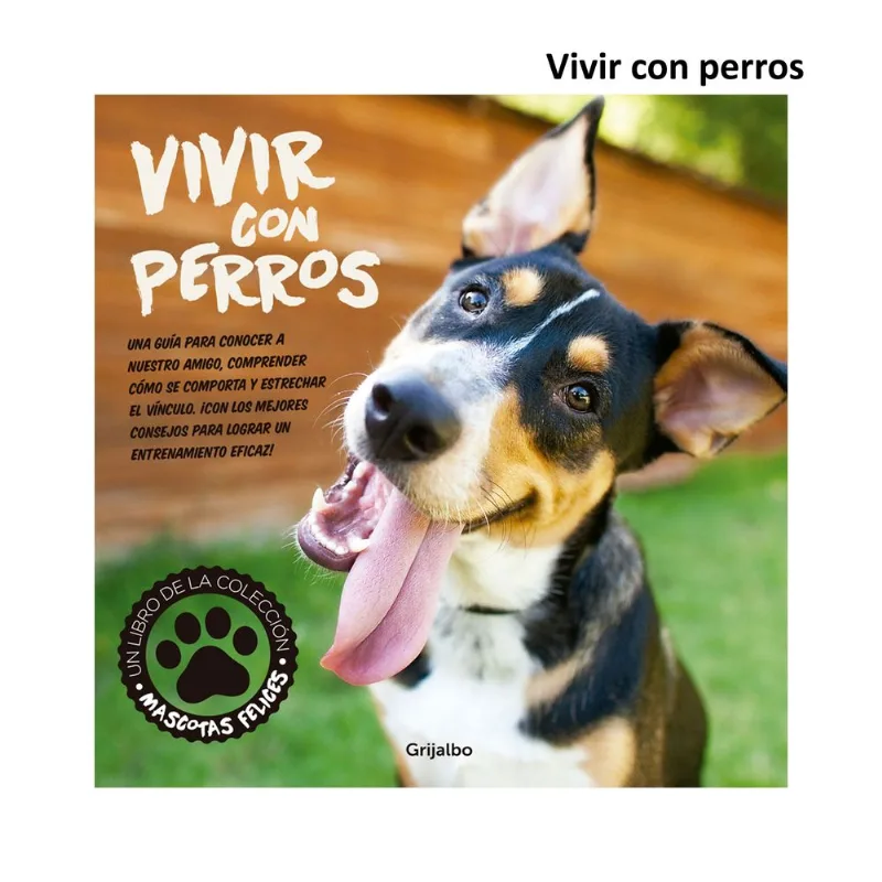 Colección Mascotas (Modelos Surtidos)