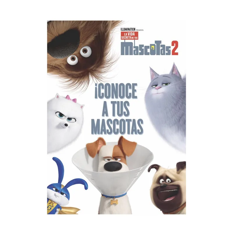 Activity 4 En 1-mascotas 2-vertice