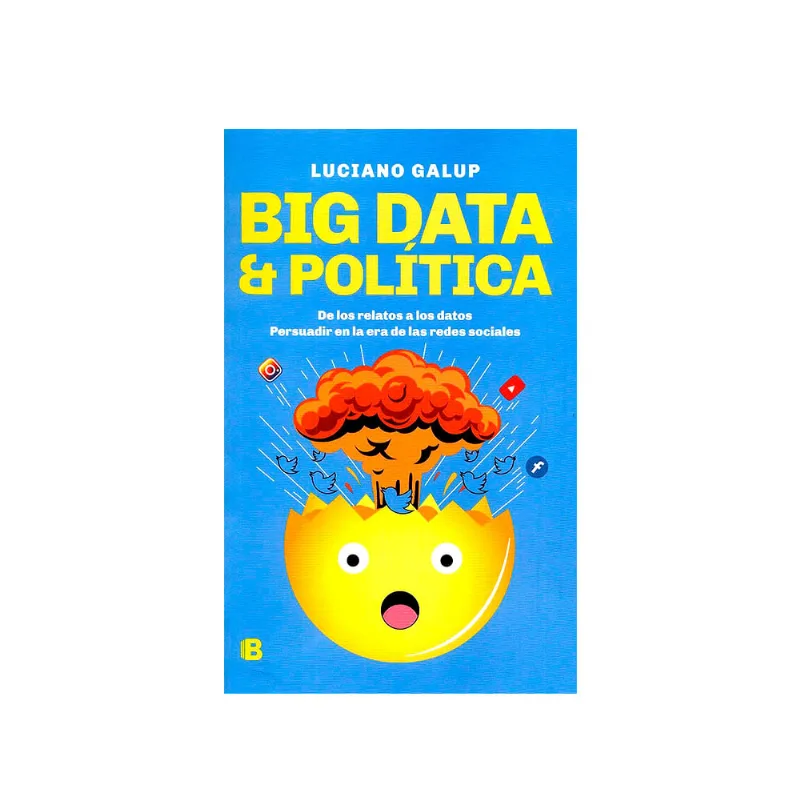 Big Data Y Politica