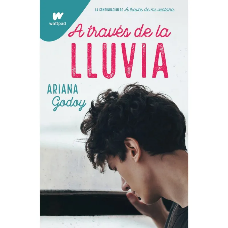 Libro A través de la lluvia (Trilogía Hermanos Hidalgo 3)