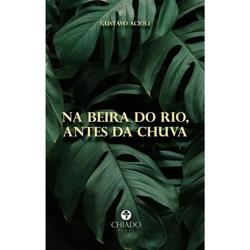 Livro - Na beira do rio, antes da chuva