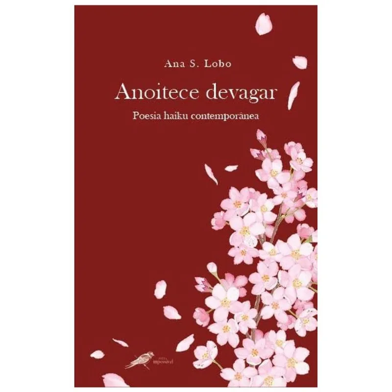 ANOITECE DEVAGAR
