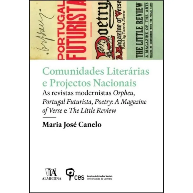 Comunidades Literárias E Projectos Nacionais