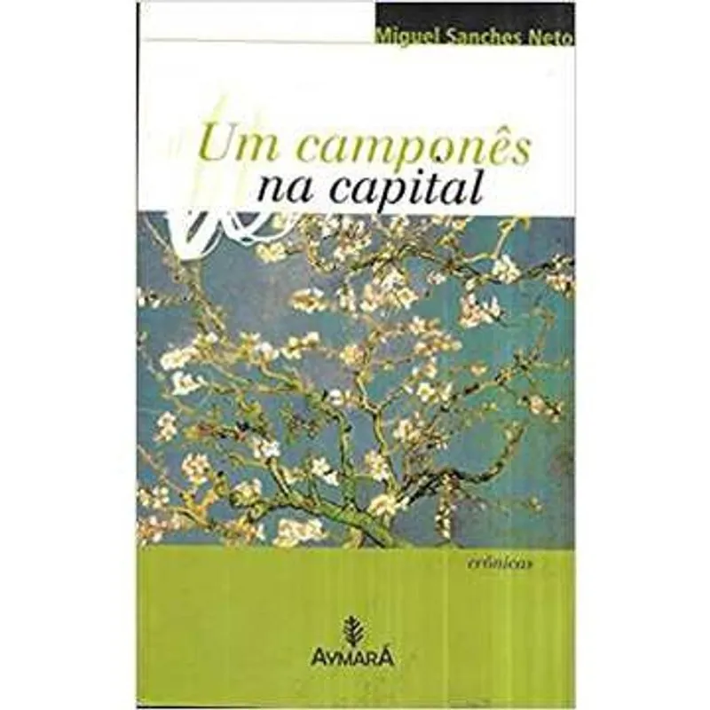 Um Camponês na Capital usado