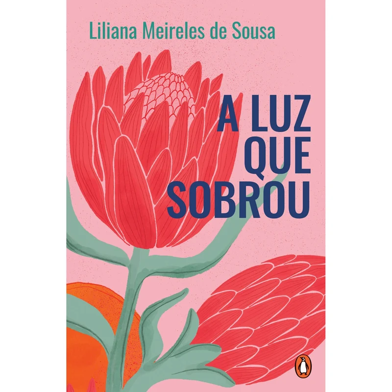 A Luz Que Sobrou de Liliana Meireles De Sousa