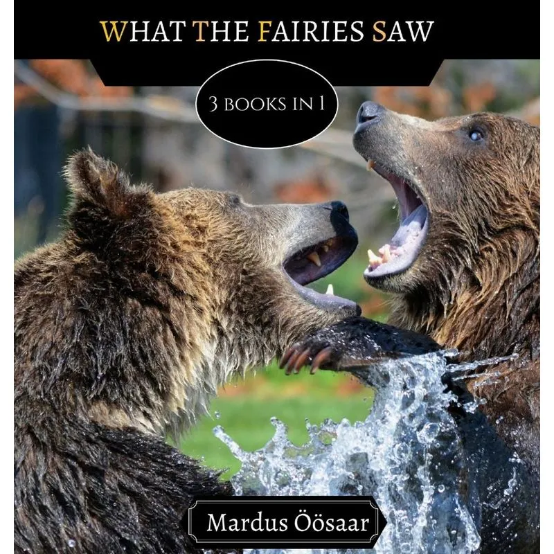 What The Fairies Saw