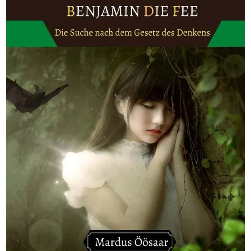 Benjamin die Fee