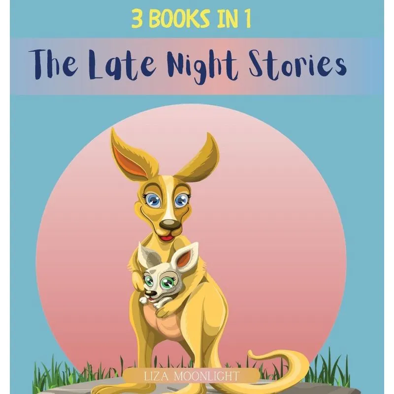 The Late Night Stories