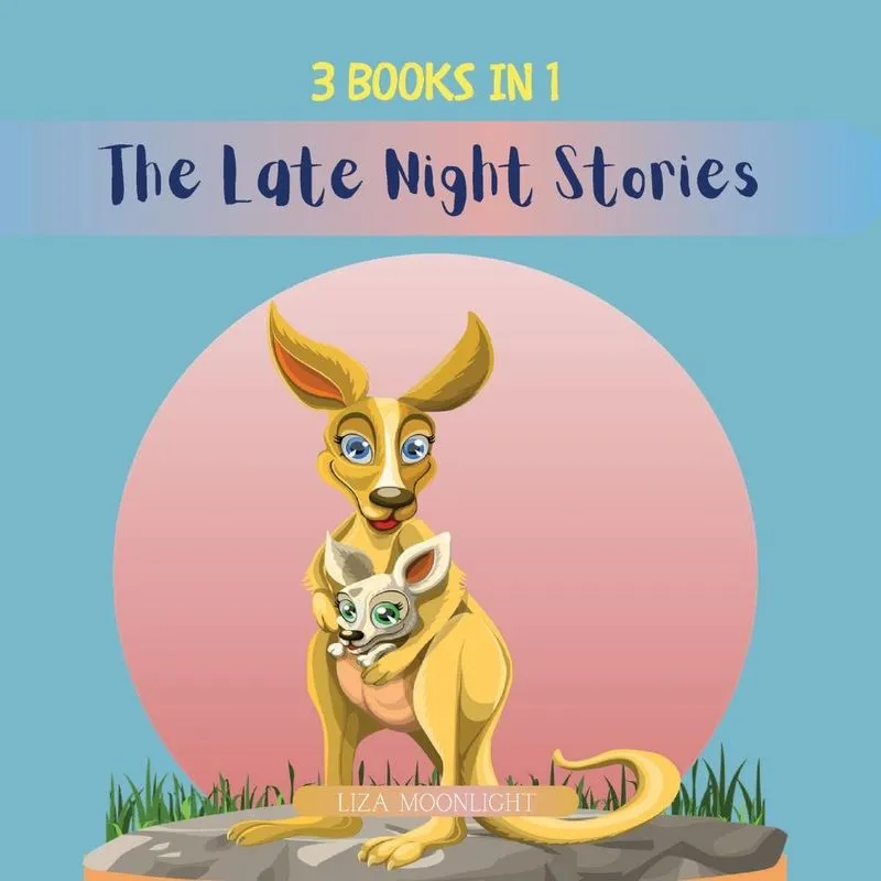 The Late Night Stories