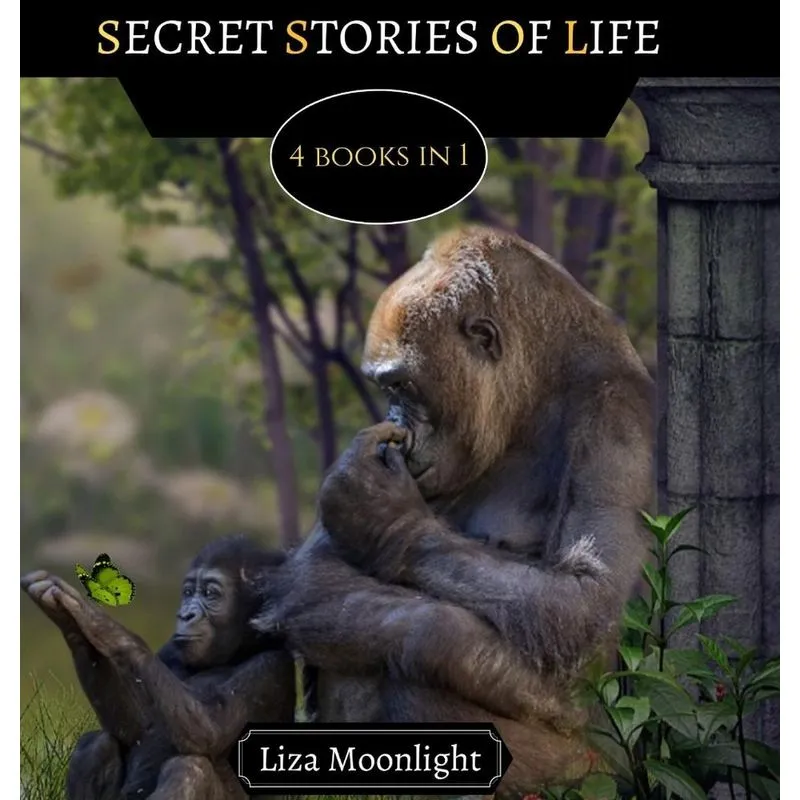 Secret Stories of Life