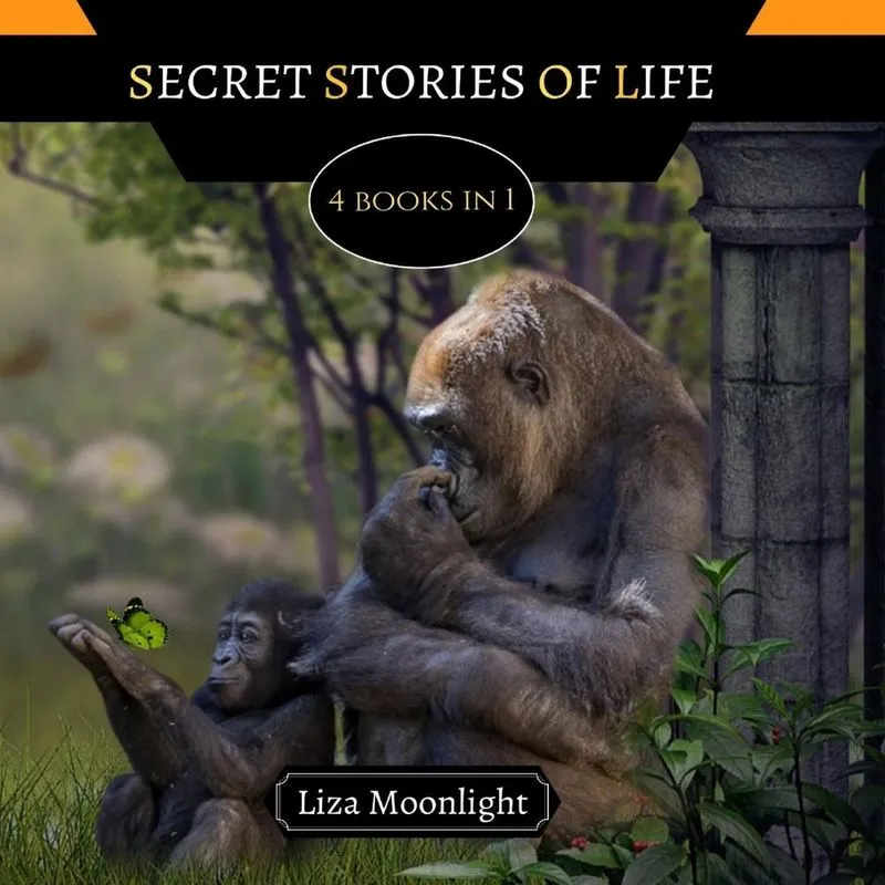 Secret Stories of Life