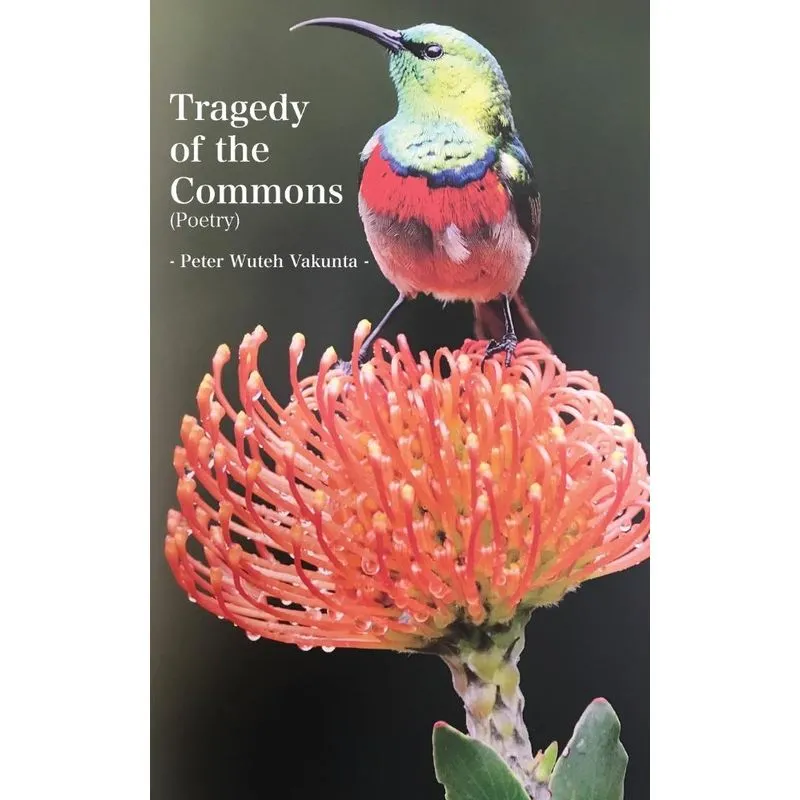 Tragedy of the Commons