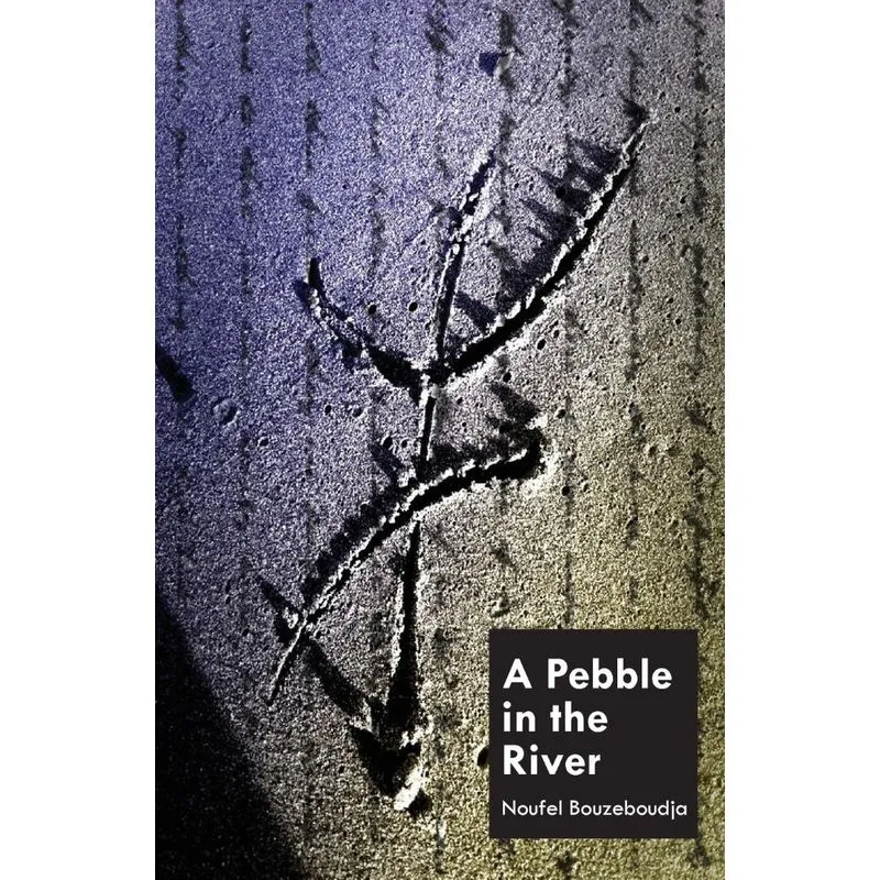 A Pebble In The River