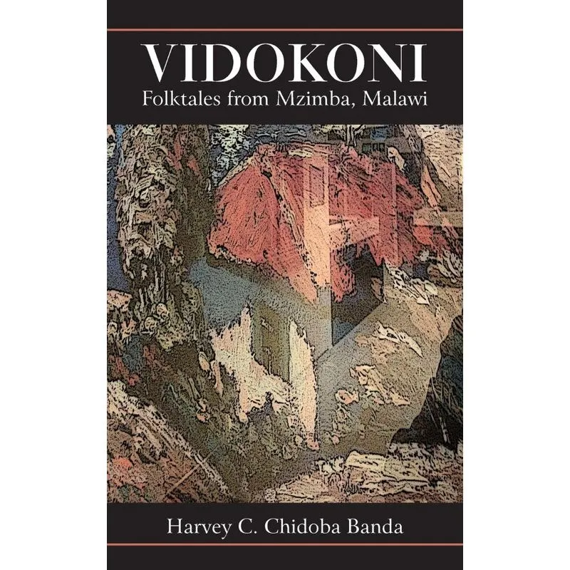 Vidokoni