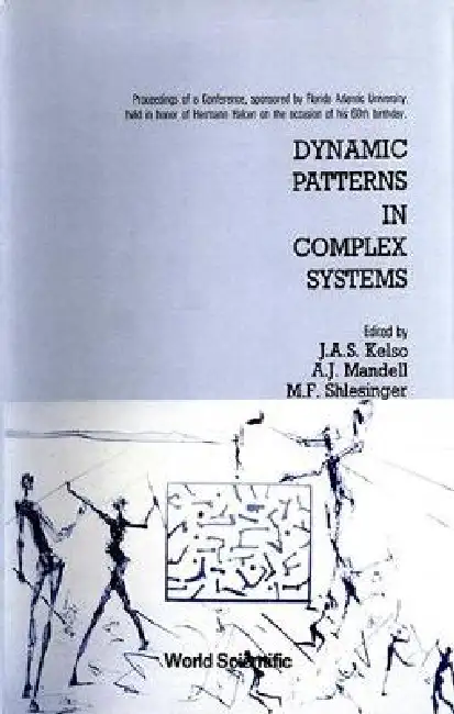 Dynamic Pattern in Complex Systems Hardcover