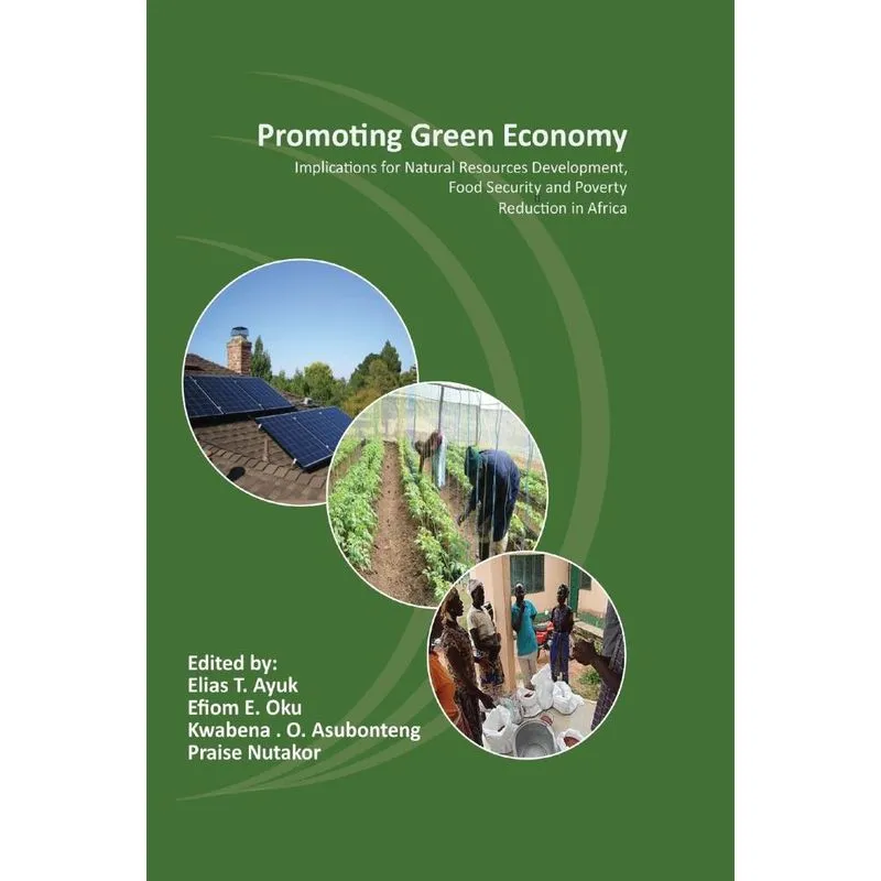 Promoting Green Economy