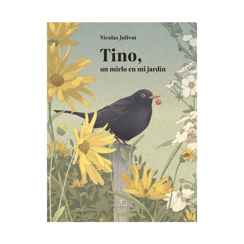 Tino, un mirlo en mi jardín