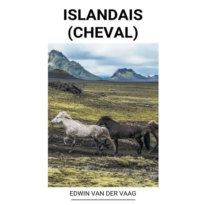 Islandais (cheval)