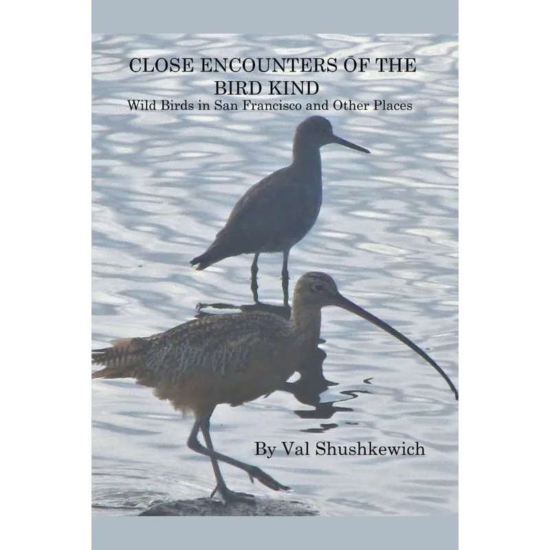 Close Encounters Of The Bird Kind