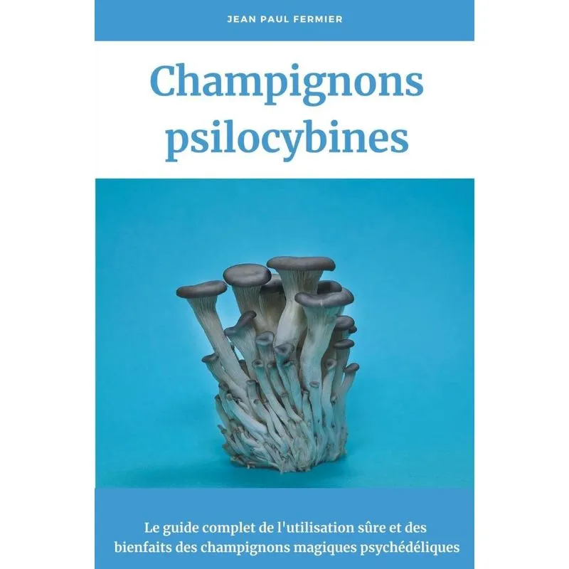 Champignons Psilocybines