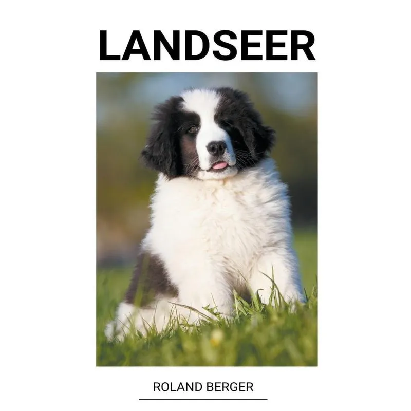 Landseer