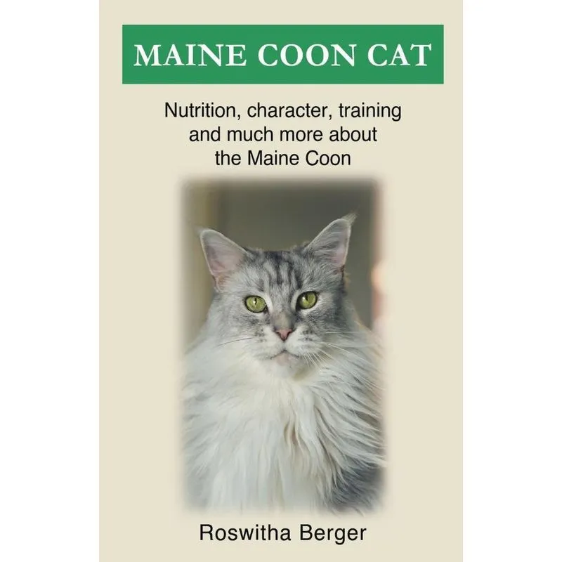 Maine Coon Cat
