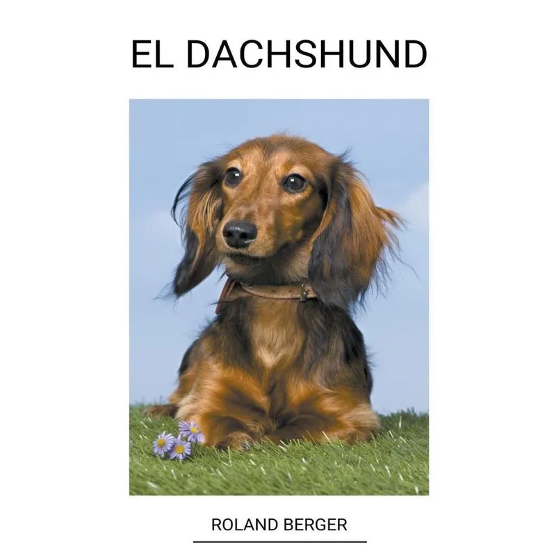 El Dachshund