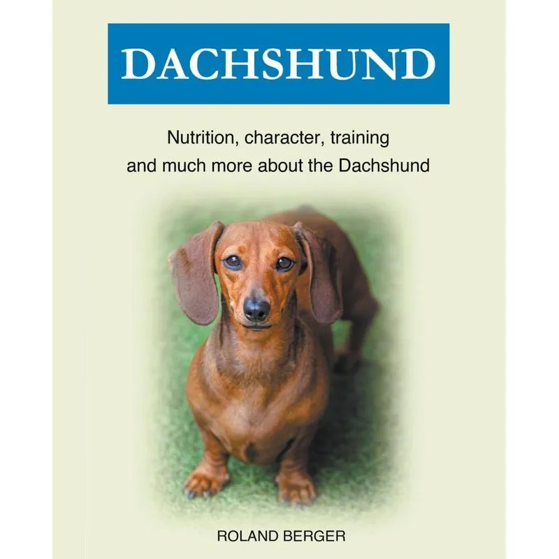 Dachshund