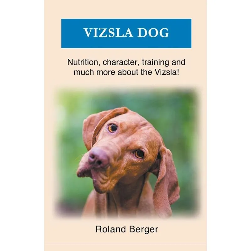Vizsla Dog