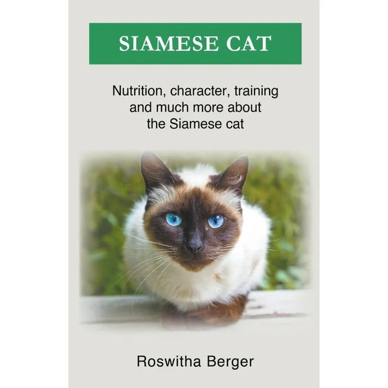 Siamese Cat