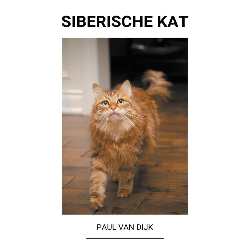 Siberische Kat