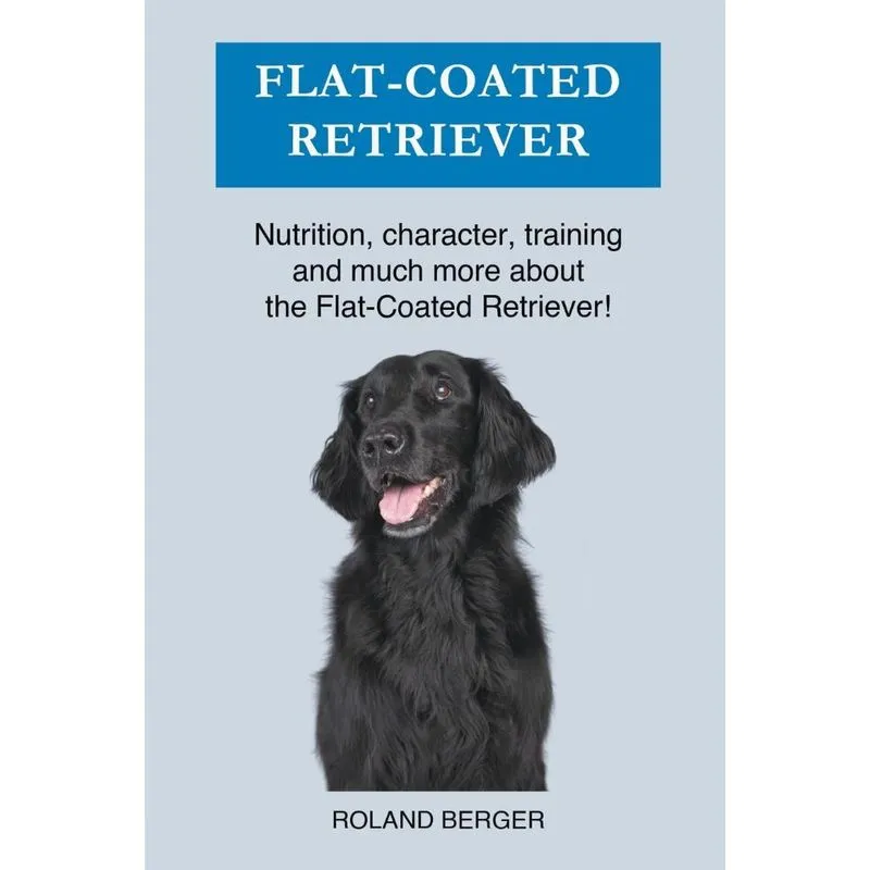 Flat Coated Retriever
