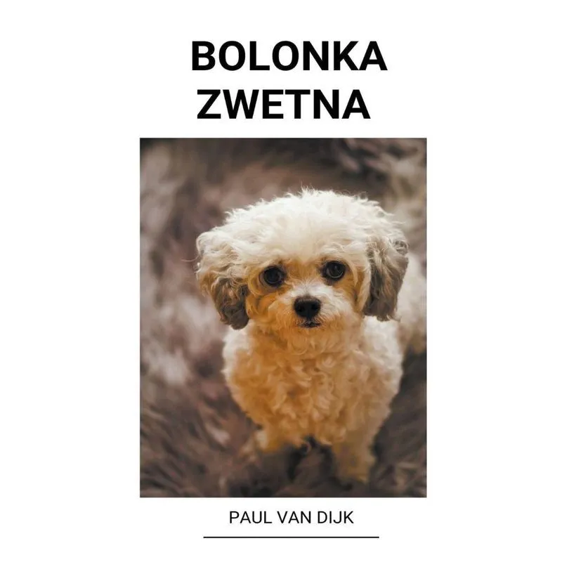 Bolonka Zwetna