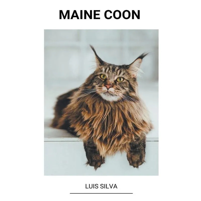 Livro Maine Coon