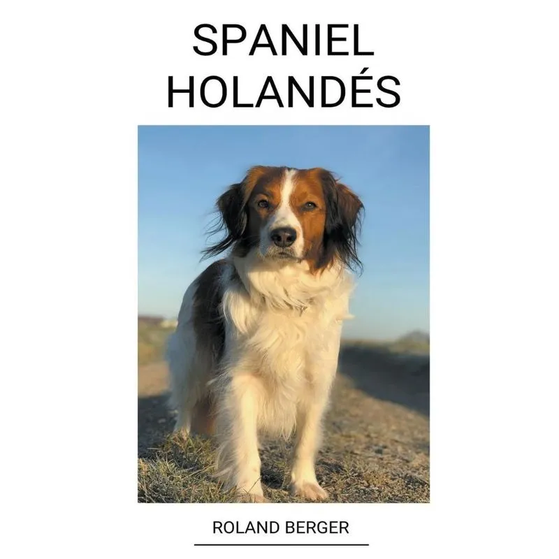 Spaniel Holand&amp;#233,s