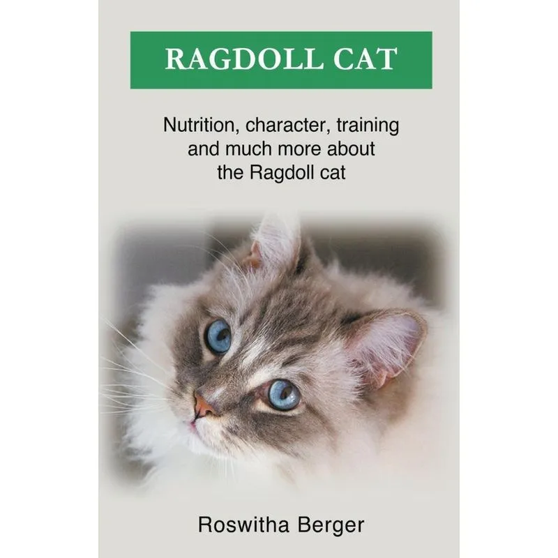 Ragdoll Cat