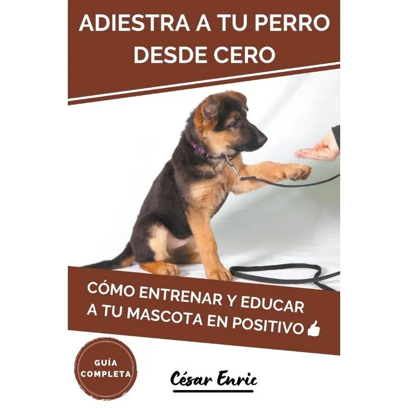 Adiestra A Tu Perro Desde Cero