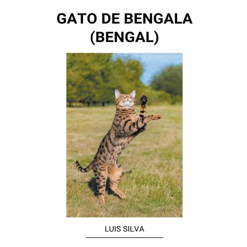 Livro Gato de Bengala (Bengal)