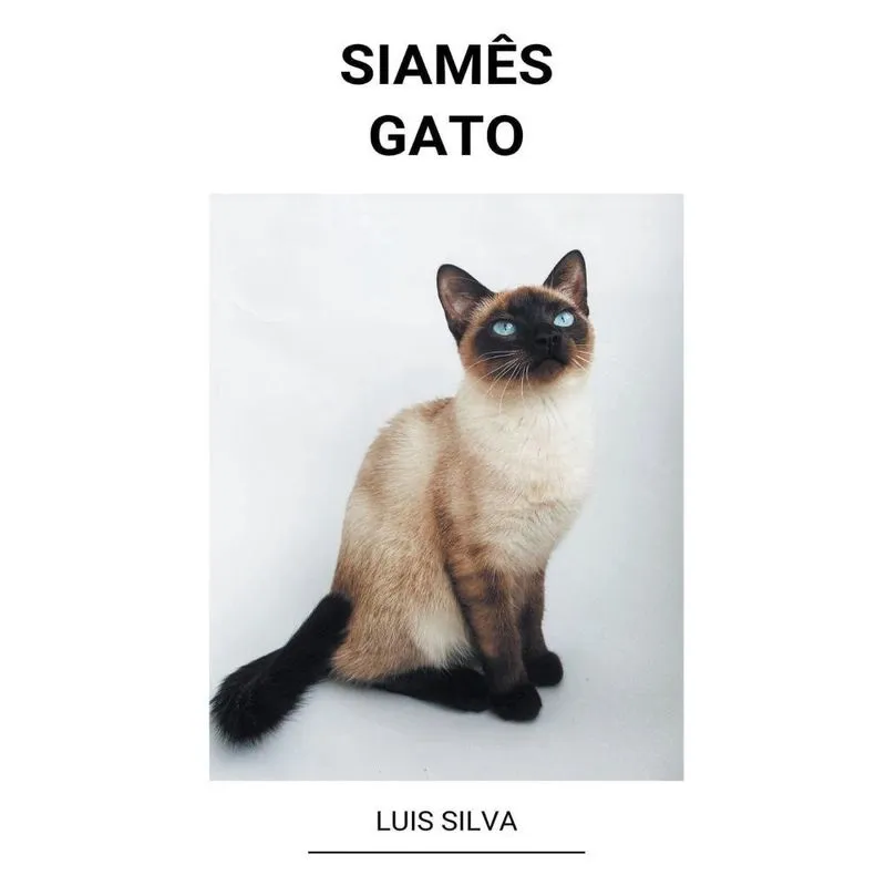 Livro Siamês (Gato)