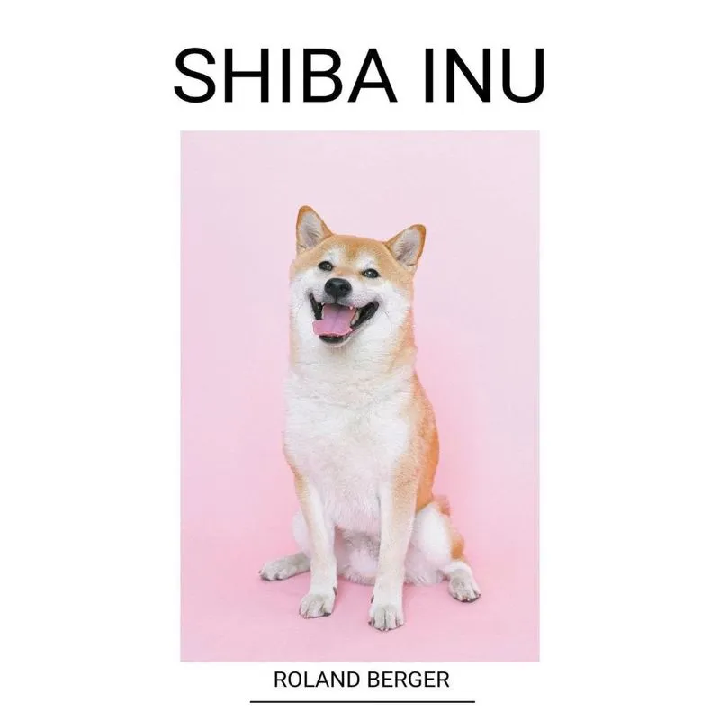 Shiba Inu