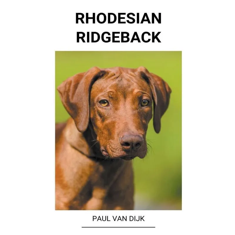 Rhodesian ridgeback