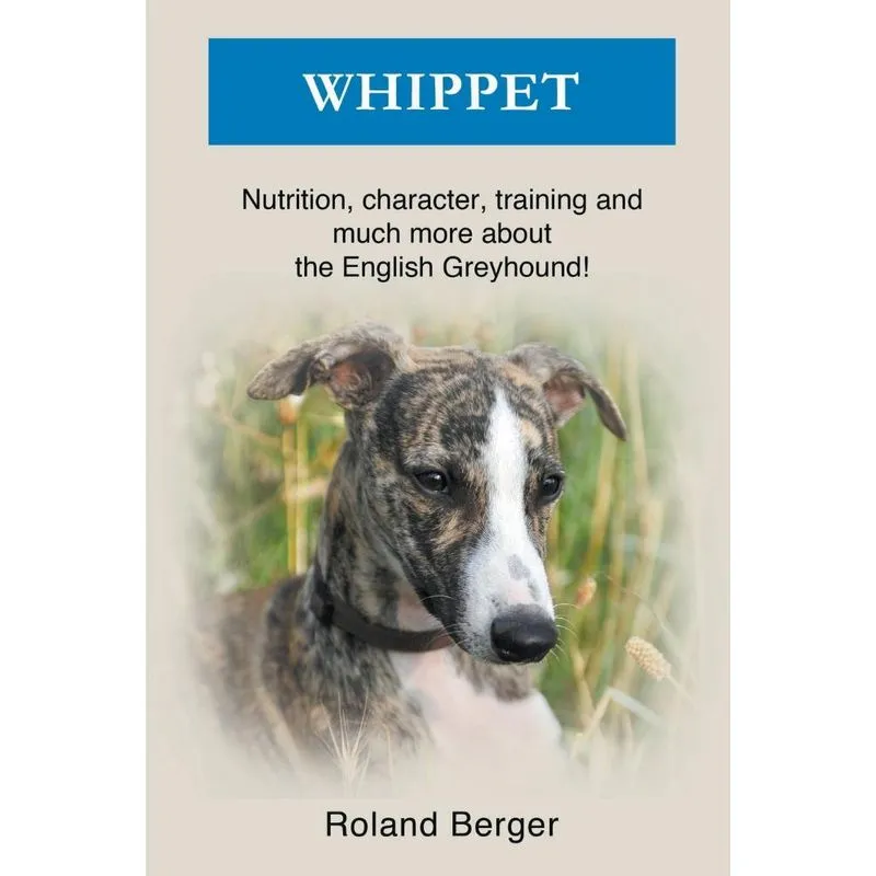 Whippet