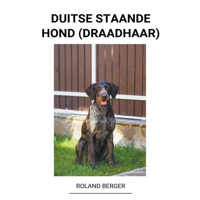 Duitse Staande Hond (draadhaar)