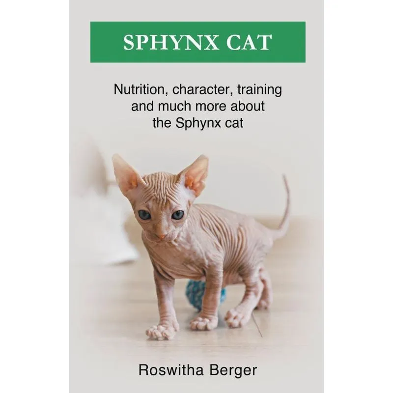 Sphynx Cat
