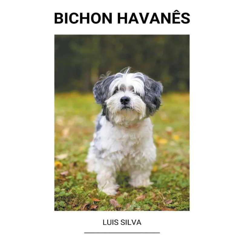 Bichon Havanês