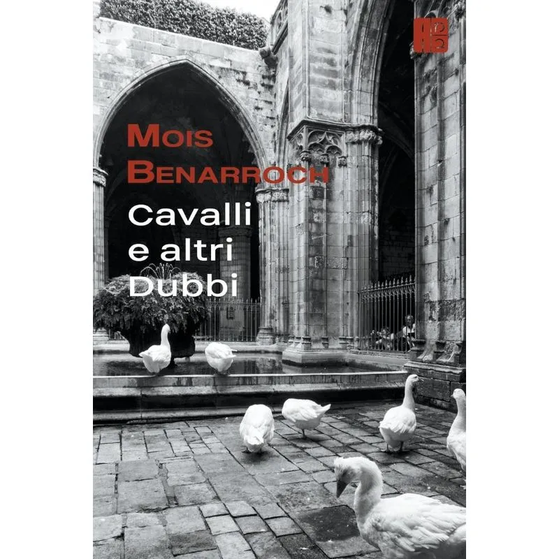 Cavalli E Altri Dubbi