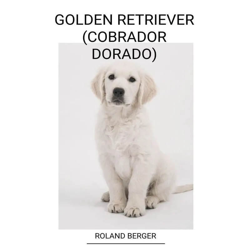 Golden Retriever (cobrador Dorado)