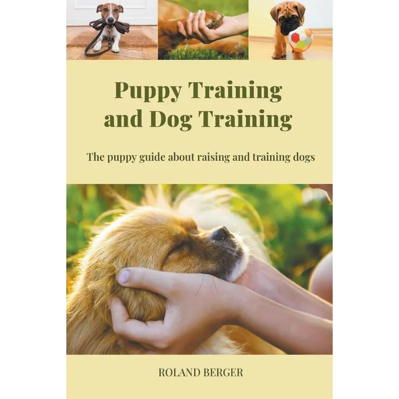 Puppy Training And Dog Training